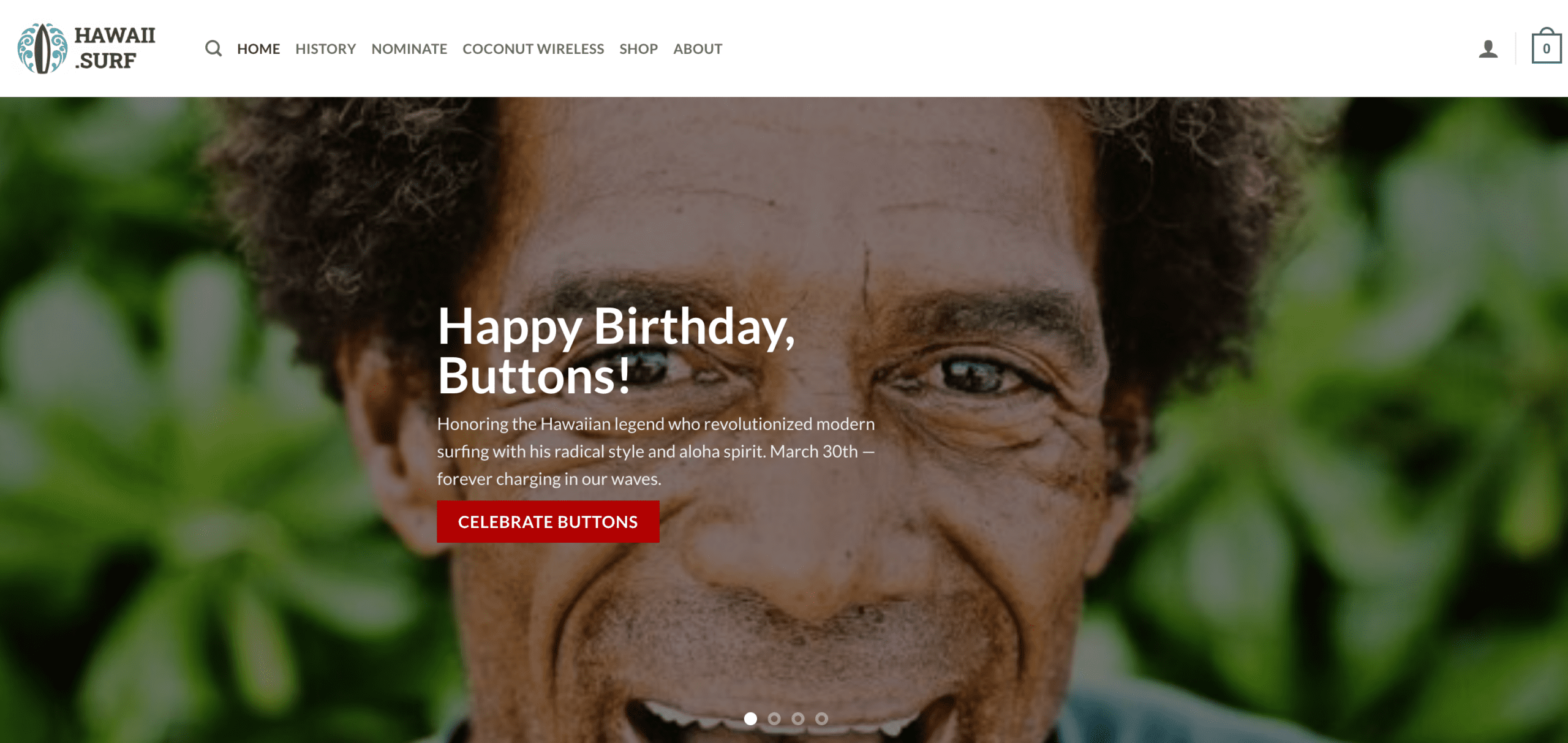 Hawaii.surf homepage