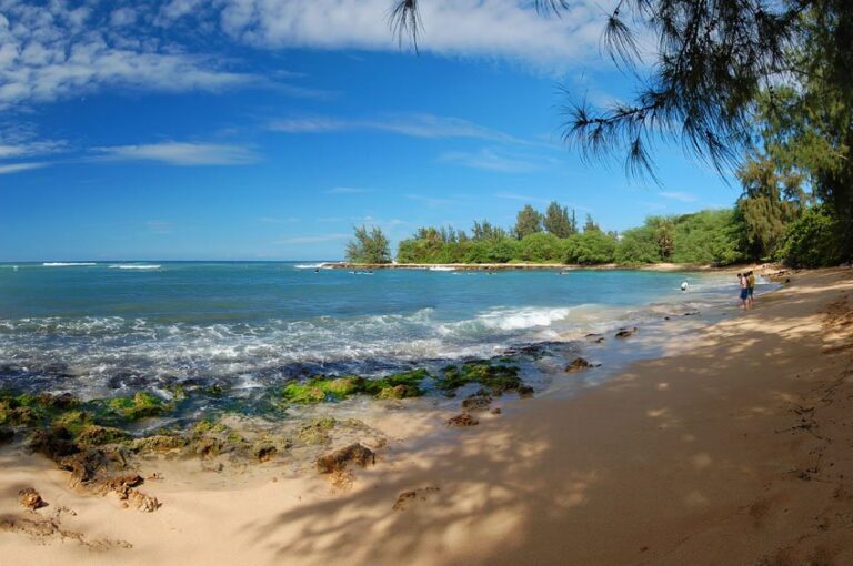 Pua'ena Point surf break, Haleiwa, Oahu